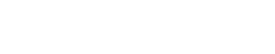SD Voyager logo